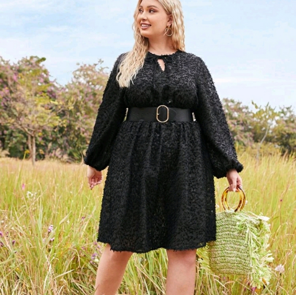 #38 Brand New Plus Black Dress